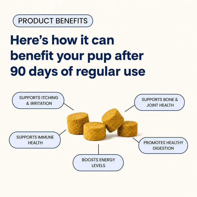 Pupganics™ Multivitamin Daily Soft Chews